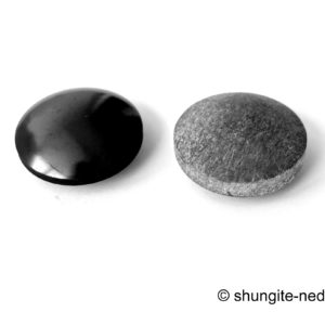Shungite Pocket Harmonizers